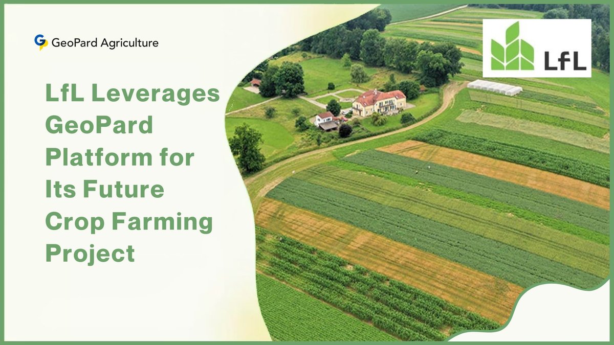 LFL Schedule: Where to Find League of Legends Fixtures